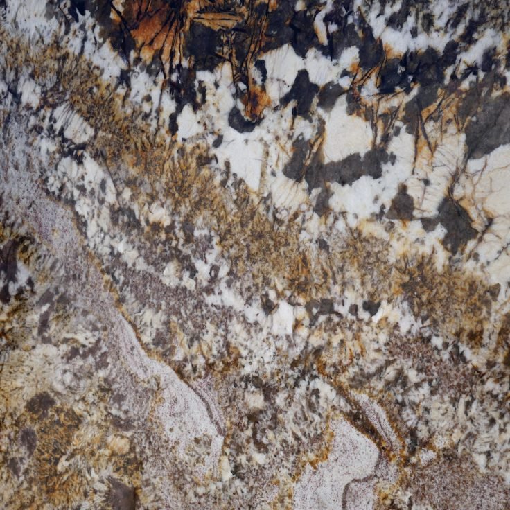 image-783902-Giallo-Ornamental-Guidoni.jpg